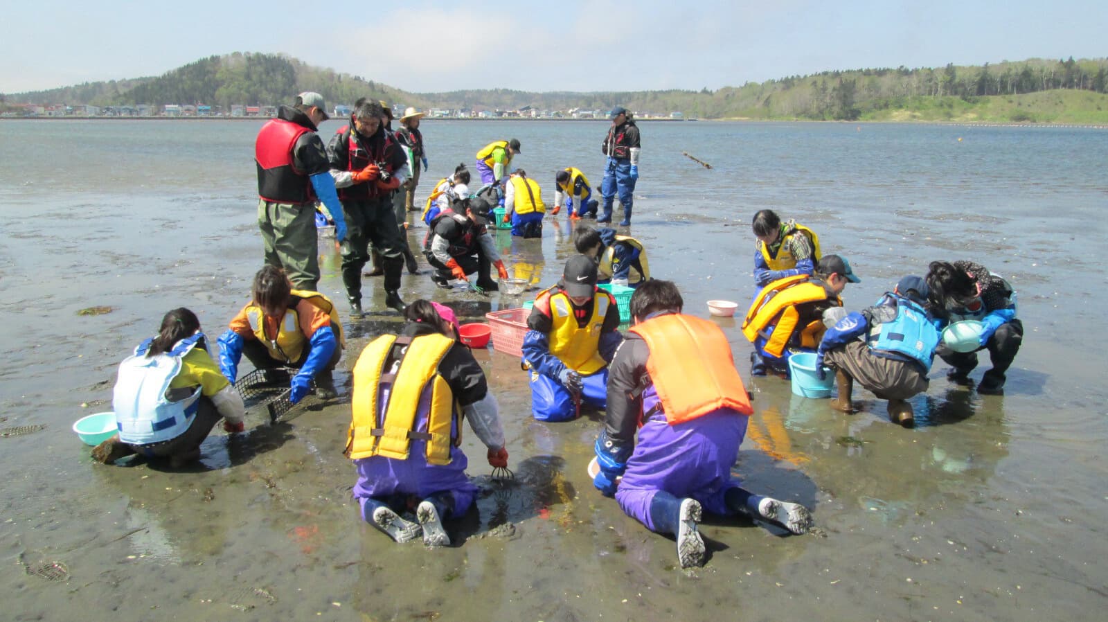 散布漁協_あさり島水産学習